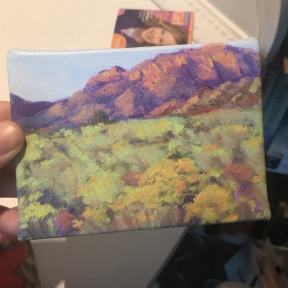 AMERICAN GIRL SAIGE’S PAINT SET - Picture 4 of 13